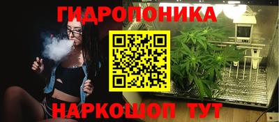 apvp Ярославль