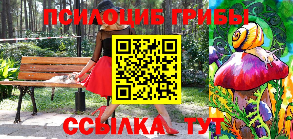 Бердск  что такое наркотик  Галлюциногенные грибы Magic Shrooms  Вход с VPN  Псилоцибиновые грибы Psilocybine cubensis 