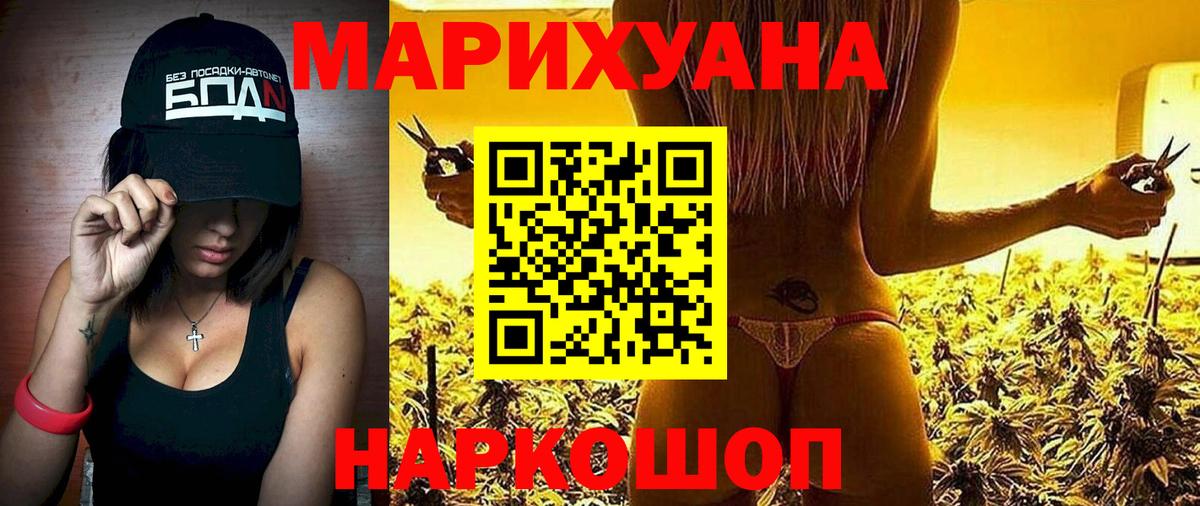 Канабис план Бердск